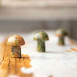 UNAKITE mushroom  crystal