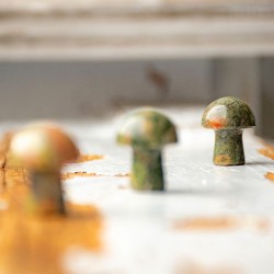 UNAKITE mushroom crystal