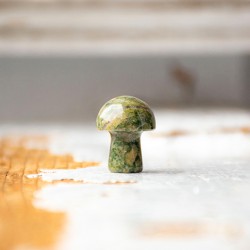 UNAKITE mushroom