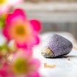 stichtite, crystal, 
 crystals online store Slovenija healing crystals, natural stones,
