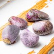 stichtite, crystal, 
 crystals online store Slovenija healing crystals, natural stones,