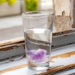 AMETHYST natural raw crystal