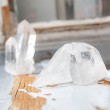 CLEAR QUARTZ CRYSTAL natural cluster