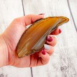 NATURE AGATE slice L agate crystals