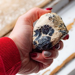 opal, dendrit opal, dendrit opal kristal, dendrit opal večji kos, surovi kristali