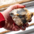 opal, dendrit opal, kristal dendrit opal , dendrit opal večji kos, surovi kristali nebrušeni kristali