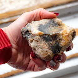 opal, dendrit opal, kristal dendrit opal , dendrit opal večji kos, surovi kristali nebrušeni kristali