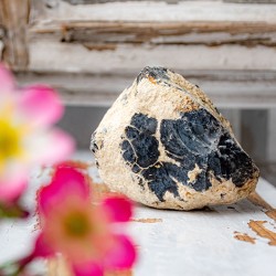 opal, dendrit opal, dendrit opal kristal, dendrit opal večji kos, surovi kristali
