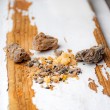 PALO SANTO incense resin