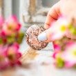 jasper, leopard jasper, pocket crystal, energy crystal, palmstone