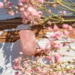 rose quartz, ROSE QUARTZ pocket gemstone, rose quartz crystal