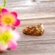 smoky quartz, gemstones, crystal jewlery