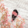 rhodonite crystal, crystal for love, crystals for heart chakra, crystals for relationships