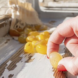 YELLOW ONYX rune stones (set), YELLOW ONYX  crystals,YELLOW ONYX  gemstone,