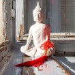 FENG SHUI coin set of 3 for luck