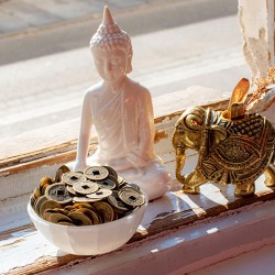 FENG SHUI novec za srečo, kitajsko novo leto, feng shui, kitajski novec za denar,
