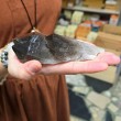 smokey quartz crystal, SMOKEY QUARTZ coins