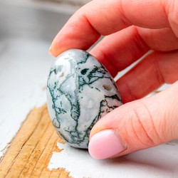 tree agate, tree agate crystal, crystal carvings, crystal egg, tree agate egg