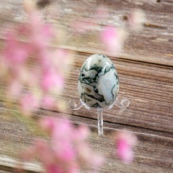 tree agate, tree agate crystal, crystal carvings, crystal egg, tree agate egg