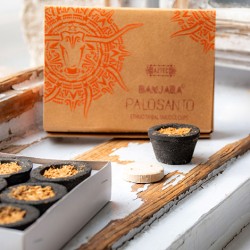 Kadilo za energijsko čiščenje, Palo Santo smola, ritual, Naravna dišava za dom, Palo Santo, smola, oglje