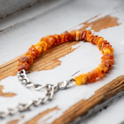 AMBER dog necklace