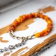 AMBER dog necklace