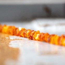 AMBER dog necklace