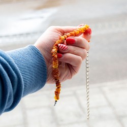 AMBER dog necklace