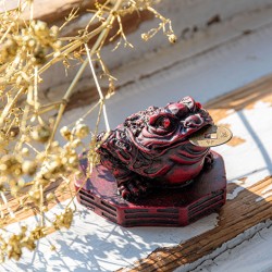 feng shui, money frog, money toad, feng shui money frog, symbol for wealth