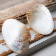 mother of pearl, decorative shellfish, polished shell, incense holder, crystal storage