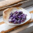 mother of pearl, decorative shellfish, polished shell, incense holder, crystal storage