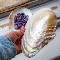 mother of pearl, decorative shellfish, polished shell, incense holder, crystal storage