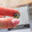 moldavit, moldavit tektit, pravi moldavit, češki moldavit, tektit, moldavite, real moldavite