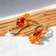 AMBER earrings amber baltic