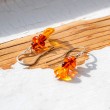 AMBER earrings amber baltic