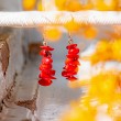 red coral, red coral earing, coral, red coral crystal, love crystal, imagination crystal, red crystal