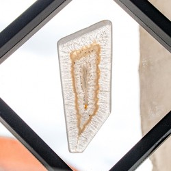 PARABIA poliedrični ahat,