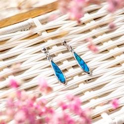 Pāua Shell earrings, Pāua Shell, earrings, earrings with shell, abalone