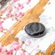 black turmaline, palmstone, black turmaline palmstone, pocket crystal