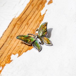 Pāua školjka, abalone, Pāua školjka broška, broška iz školjke, broška, Pāua školjka nakit