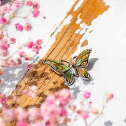 Pāua školjka, abalone, Pāua školjka broška, broška iz školjke, broška, Pāua školjka nakit