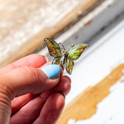 Pāua školjka, abalone, Pāua školjka broška, broška iz školjke, broška, Pāua školjka nakit