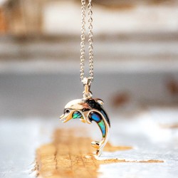 Pāua Shell necklace, Pāua Shell, necklace, necklace with shell, abalone