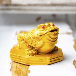 feng shui, žaba, feng shui žaba, rdeča žaba, denarna žaba, money frog, money toad