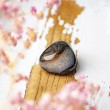 black agate, agate, pocket crystal, energy crystal, black agate crystal,