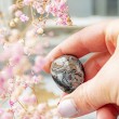 black agate, agate, pocket crystal, energy crystal