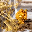 smiling Buddha, Buddha, meditation, Feng shui, lucky charm, golden buddha