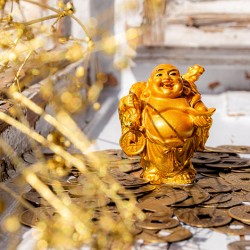 feng shui, Buda, smejoči Buda, mini kipec Buda, zlati buda, feng shui buda