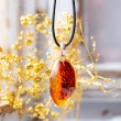 amber necklace, amber pendant, silver pendant, amber silver pendant