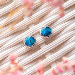 Pāua Shell earrings, Pāua Shell, earrings, earrings with shell, abalone